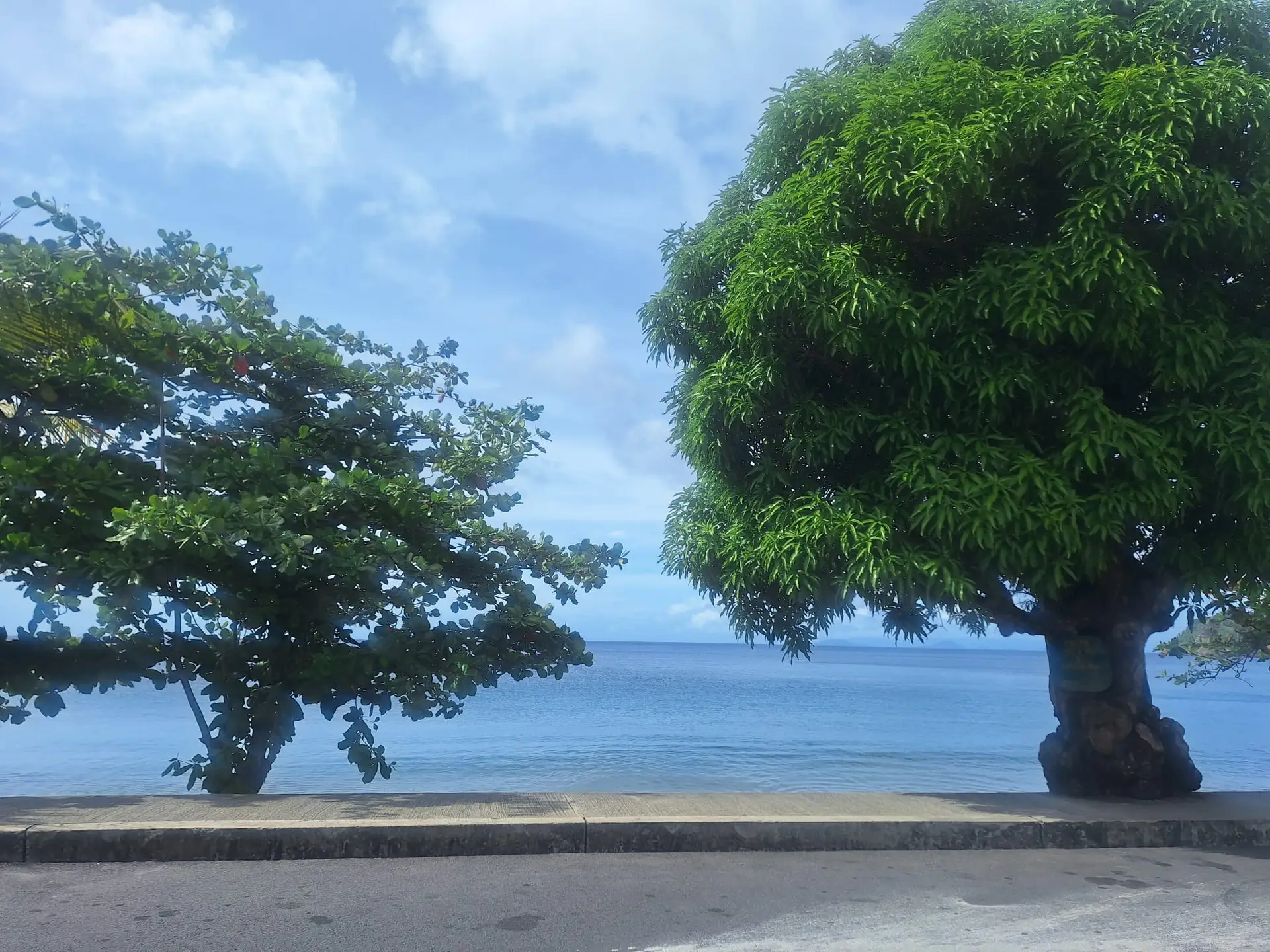 WhatsApp Image 2025-01-07 at 09.22.15